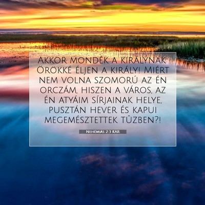 Picture 07 - Nehémiás 2:3 KAR - Akkor mondék a királynak: Örökké éljen a - Bible Verse Picture