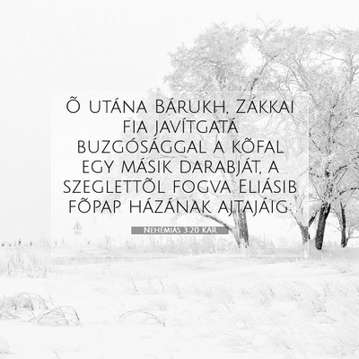 Picture 07 - Nehémiás 3:20 KAR - Õ utána Bárukh, Zakkai fia javítgatá - Bible Verse Picture