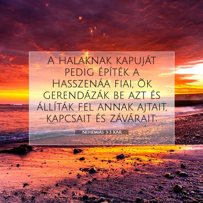 Picture 07 - Nehémiás 3:3 KAR - A halaknak kapuját pedig építék a Hasszenáa - Bible Verse Picture