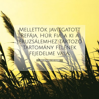 Picture 07 - Nehémiás 3:9 KAR - Mellettök javítgatott Refája, Húr fia, a ki a - Bible Verse Picture