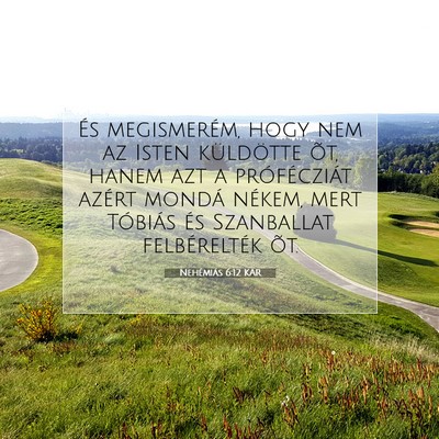 Picture 07 - Nehémiás 6:12 KAR - És megismerém, hogy nem az Isten küldötte - Bible Verse Picture