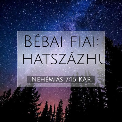 Picture 07 - Nehémiás 7:16 KAR - Bébai fiai: - Bible Verse Picture