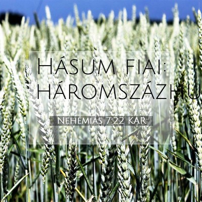 Picture 07 - Nehémiás 7:22 KAR - Hásum fiai: - Bible Verse Picture