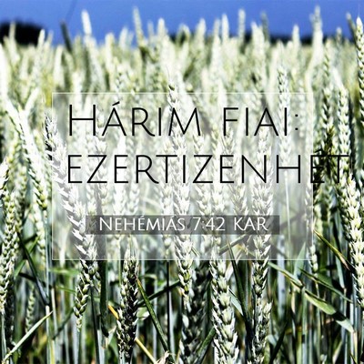 Picture 07 - Nehémiás 7:42 KAR - Hárim fiai: - Bible Verse Picture