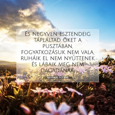 Picture 07 - Nehémiás 9:21 KAR - És negyven esztendeig tápláltad õket a - Bible Verse Picture