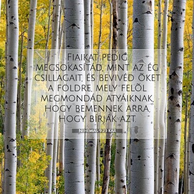 Picture 07 - Nehémiás 9:23 KAR - Fiaikat pedig megsokasítád, mint az ég - Bible Verse Picture