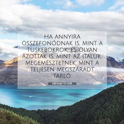 Picture 07 - Náhum 1:10 KAR - Ha annyira összefonódnak is, mint a - Bible Verse Picture