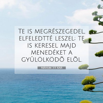 Picture 07 - Náhum 3:11 KAR - Te is megrészegedel, elfeledtté leszel; te is - Bible Verse Picture
