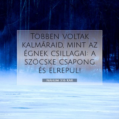 Picture 07 - Náhum 3:16 KAR - Többen voltak kalmáraid, mint az égnek - Bible Verse Picture