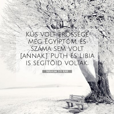 Picture 07 - Náhum 3:9 KAR - Kús volt erõssége meg Égyiptom, és száma - Bible Verse Picture