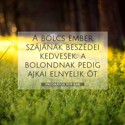 Picture 07 - Prédikátor 10:9 KAR - A bölcs ember szájának beszédei kedvesek; a - Bible Verse Picture