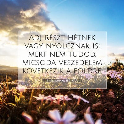 Picture 07 - Prédikátor 11:2 KAR - Adj részt hétnek vagy nyolcznak is; mert nem - Bible Verse Picture
