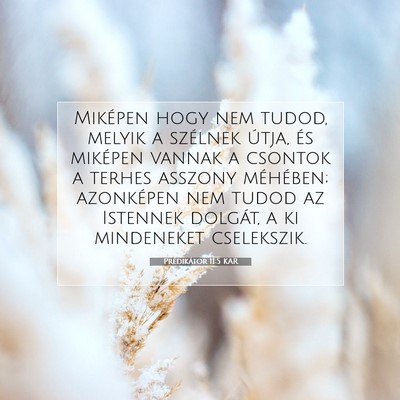 Picture 07 - Prédikátor 11:5 KAR - Miképen hogy nem tudod, melyik a szélnek útja, - Bible Verse Picture