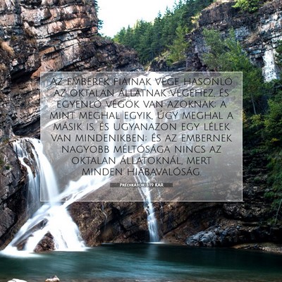 Picture 07 - Prédikátor 3:19 KAR - Az emberek fiainak vége hasonló az oktalan - Bible Verse Picture