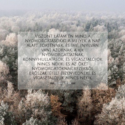 Picture 07 - Prédikátor 4:1 KAR - Viszont látám én mind a nyomorgatásokat, a - Bible Verse Picture