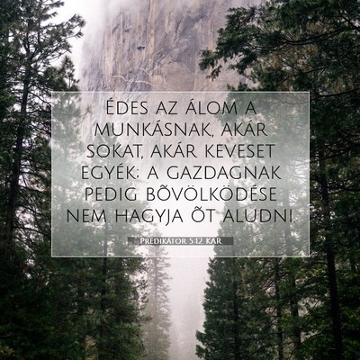 Picture 07 - Prédikátor 5:12 KAR - Édes az álom a munkásnak, akár sokat, akár - Bible Verse Picture