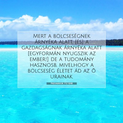 Picture 07 - Prédikátor 7:12 KAR - Mert a bölcseségnek árnyéka alatt, [és] a - Bible Verse Picture