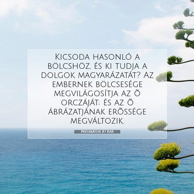 Picture 07 - Prédikátor 8:1 KAR - Kicsoda hasonló a bölcshöz, és ki tudja a - Bible Verse Picture