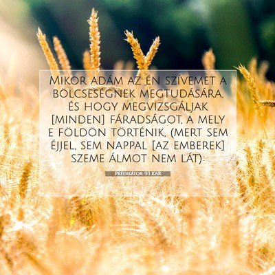 Picture 07 - Prédikátor 9:1 KAR - Mikor adám az én szívemet a bölcseségnek - Bible Verse Picture