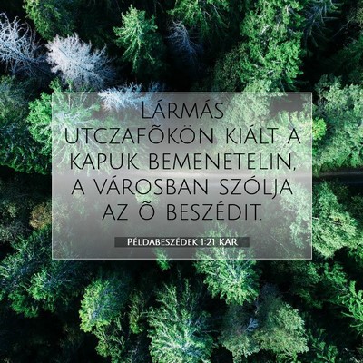 Picture 07 - Példabeszédek 1:21 KAR - Lármás utczafõkön kiált a kapuk bemenetelin, - Bible Verse Picture