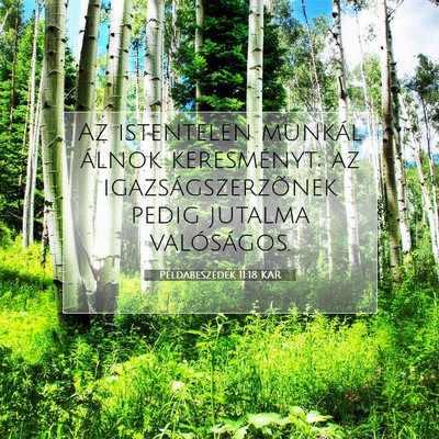 Picture 07 - Példabeszédek 11:18 KAR - Az istentelen munkál álnok keresményt; az - Bible Verse Picture
