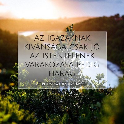 Picture 07 - Példabeszédek 11:23 KAR - Az igazaknak kivánsága csak jó, az - Bible Verse Picture