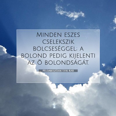Picture 07 - Példabeszédek 13:16 KAR - Minden eszes cselekszik bölcseséggel; a bolond - Bible Verse Picture