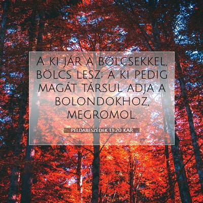 Picture 07 - Példabeszédek 13:20 KAR - A ki jár a bölcsekkel, bölcs lesz; a ki pedig - Bible Verse Picture