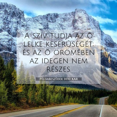 Picture 07 - Példabeszédek 14:10 KAR - A szív tudja az õ lelke keserûségét; és az - Bible Verse Picture
