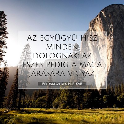 Picture 07 - Példabeszédek 14:15 KAR - Az együgyû hisz minden dolognak; az eszes pedig - Bible Verse Picture
