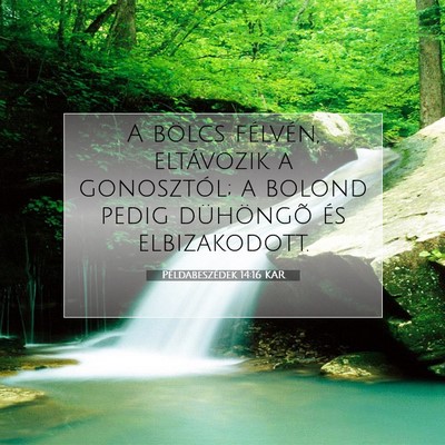 Picture 07 - Példabeszédek 14:16 KAR - A bölcs félvén, eltávozik a gonosztól; a - Bible Verse Picture