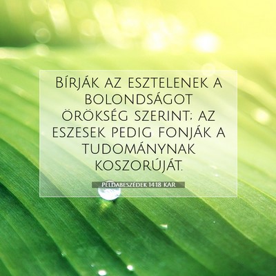 Picture 07 - Példabeszédek 14:18 KAR - Bírják az esztelenek a bolondságot örökség - Bible Verse Picture