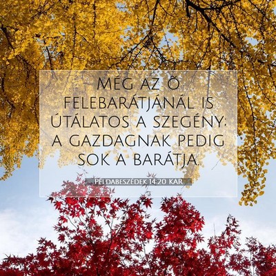 Picture 07 - Példabeszédek 14:20 KAR - Még az õ felebarátjánál is útálatos a - Bible Verse Picture