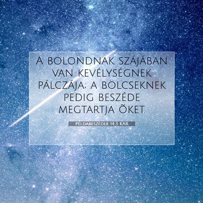 Picture 07 - Példabeszédek 14:3 KAR - A bolondnak szájában van kevélységnek - Bible Verse Picture