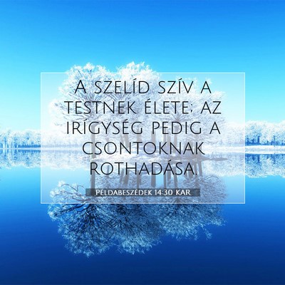 Picture 07 - Példabeszédek 14:30 KAR - A szelíd szív a testnek élete; az irígység - Bible Verse Picture