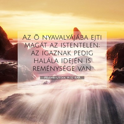 Picture 07 - Példabeszédek 14:32 KAR - Az õ nyavalyájába ejti magát az istentelen; - Bible Verse Picture