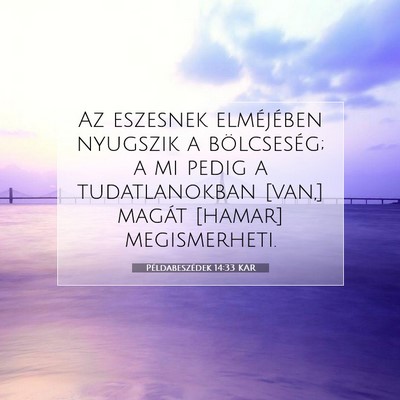 Picture 07 - Példabeszédek 14:33 KAR - Az eszesnek elméjében nyugszik a bölcseség; a - Bible Verse Picture