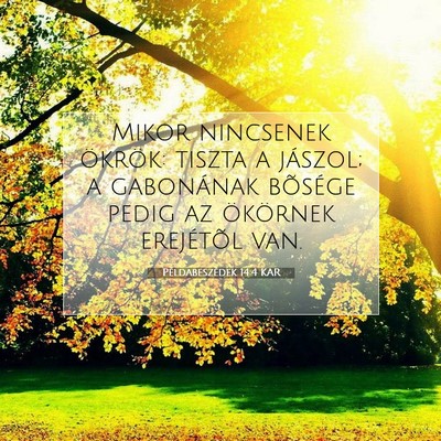 Picture 07 - Példabeszédek 14:4 KAR - Mikor nincsenek ökrök: tiszta a jászol; a - Bible Verse Picture