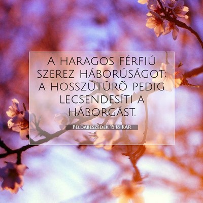 Picture 07 - Példabeszédek 15:18 KAR - A haragos férfiú szerez háborúságot; a - Bible Verse Picture