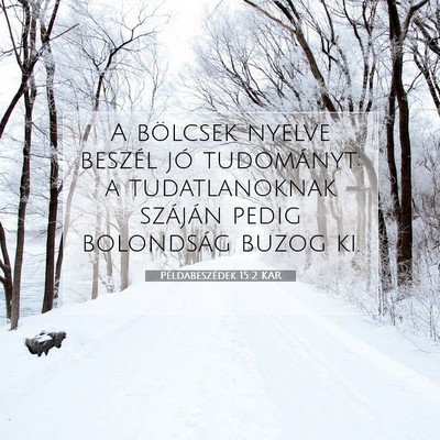 Picture 07 - Példabeszédek 15:2 KAR - A bölcsek nyelve beszél jó tudományt: a - Bible Verse Picture