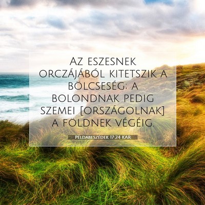 Picture 07 - Példabeszédek 17:24 KAR - Az eszesnek orczájából kitetszik a - Bible Verse Picture