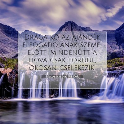Picture 07 - Példabeszédek 17:8 KAR - Drága kõ az ajándék elfogadójának szemei - Bible Verse Picture