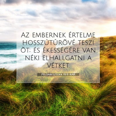 Picture 07 - Példabeszédek 19:11 KAR - Az embernek értelme hosszútûrõvé teszi õt; - Bible Verse Picture