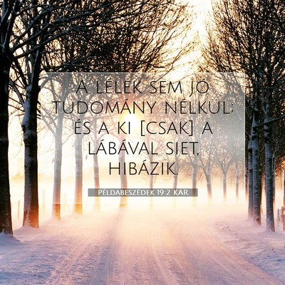 Picture 07 - Példabeszédek 19:2 KAR - A lélek sem jó tudomány nélkül; és a ki - Bible Verse Picture