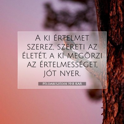 Picture 07 - Példabeszédek 19:8 KAR - A ki értelmet szerez, szereti az életét, a ki - Bible Verse Picture