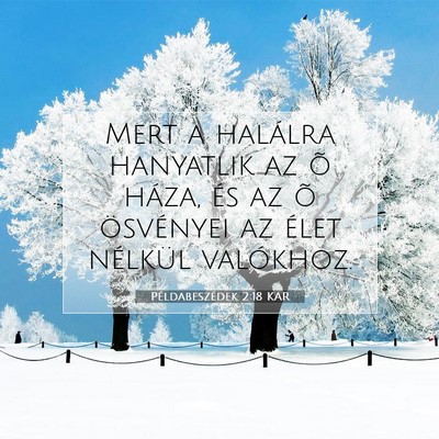 Picture 07 - Példabeszédek 2:18 KAR - Mert a halálra hanyatlik az õ háza, és az õ - Bible Verse Picture
