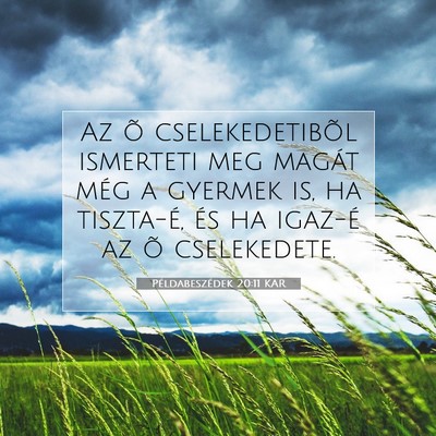 Picture 07 - Példabeszédek 20:11 KAR - Az õ cselekedetibõl ismerteti meg magát még a - Bible Verse Picture