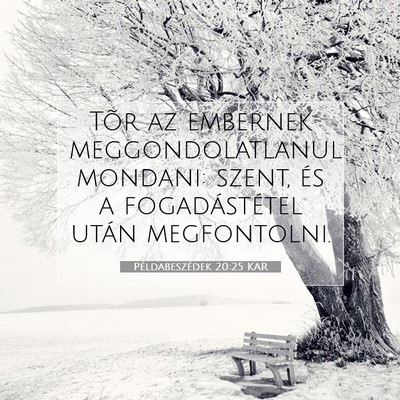 Picture 07 - Példabeszédek 20:25 KAR - Tõr az embernek meggondolatlanul mondani: szent, - Bible Verse Picture