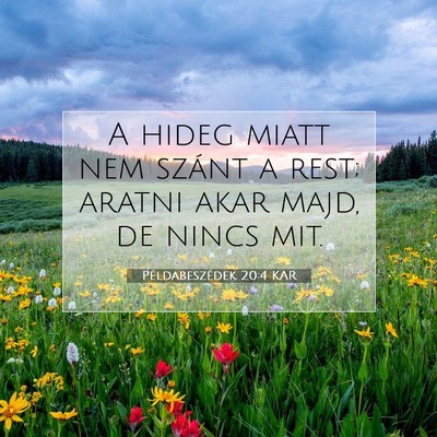 Picture 07 - Példabeszédek 20:4 KAR - A hideg miatt nem szánt a rest; aratni akar - Bible Verse Picture