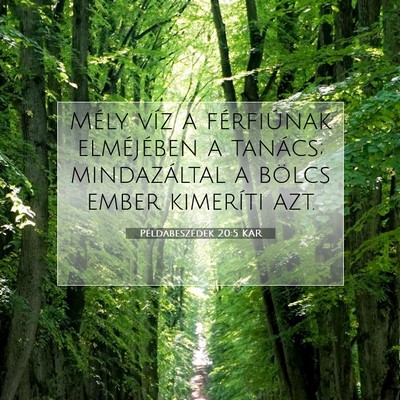 Picture 07 - Példabeszédek 20:5 KAR - Mély víz a férfiúnak elméjében a tanács; - Bible Verse Picture